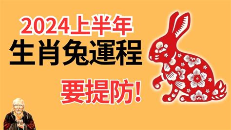 2024 生肖兔|属兔2024年运程及运势详解 2024年属兔人全年每月运。